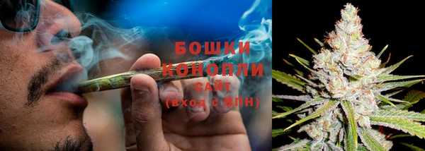 spice Яровое
